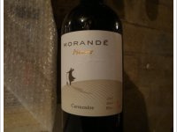 Morandé - Pionéro Carmenere
