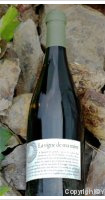 Château de Gourgazaud - La Vigne de ma Mère