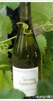 Domaine de Gourgazaud - Chardonnay