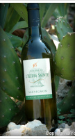 Domaine de l'Herbe Sainte - Sauvignon