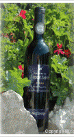 Domaine de l'Herbe Sainte - Artémisia