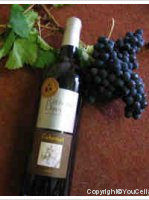 Réthoré Davy - Cabernet franc - Loire Collection