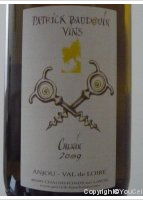 Patrick Baudouin Chenin