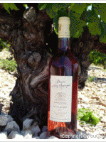 Domaine Vordy Mayrannes - Le Rosé des Garrigues