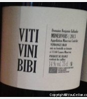 Domaine Benjamin Taillandier - Viti, Vini, Bibi