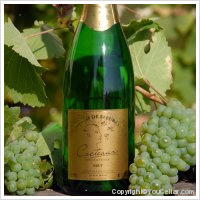 Domaine Cocteaux - Bulles de Fleuray - Demi-Sec