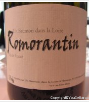 Un Saumon dans la Loire - Romorantin