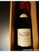 Domaine Chandon de Briailles - 1er cru Aux Fourneaux