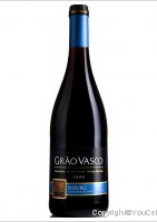 Grão Vasco