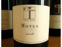 Treloar Motus