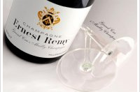 Ernest Remy - Brut