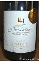 A l'ombre des platanes de Cucuron