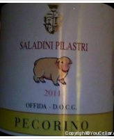 Saladini Pilastri