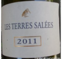 Christophe Barbier  - Les Terres Salées