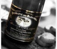 Domaine des Blouines - Clos des Ortinières