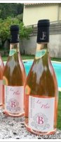 Domaine La Bastide Jourdan