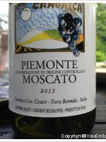 Canonica - Moscato