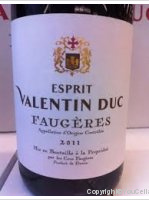 Esprit Valentin Duc
