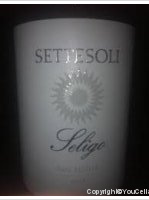 Settesoli - Seligo