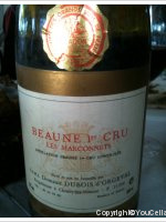 Domaine Dubois d'Orgeval - 1er cru Les Marconnets