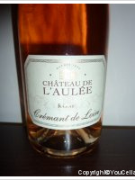 Château de l'Aulée