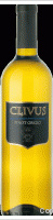 Clivus - Pinot Grigio
