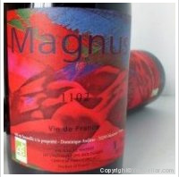 Domaine Haut-Campagnau - Magnus