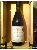 Domaine Michelas - Les Saviaux
