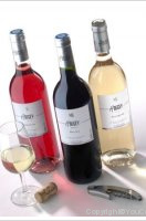 Begey et Fils - Sauvignon