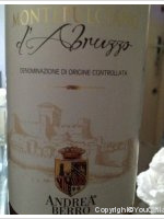 Andrea Berro