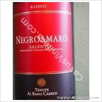 Tenute Albano Carrisi - Negroamaro