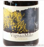 I Vigneri di Salvo Foti - VignadiMilo - Caselle