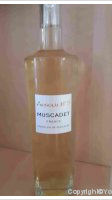 Domaine des Herbauges - Absolu N° 5