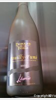 Domaine de la Forge - Léonie