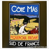 Côté Mas - Piquepoul Frisant - Sud de France