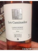 Vignobles des 2 Terres - Les Caminades