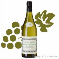 Domaine Les Temps Perdus - 1er Cru Vaucoupin