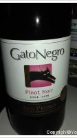 Gato Negro - Pinot noir