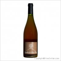 Vignoble de l'Arbre Blanc - Les Fesses