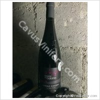 Domaine des Galloires - Le Vieux Planty