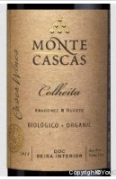 Monte Cascas - Colheita