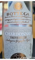 Bottega Chardonnay Trevenezie