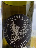 Johannes Zillinger - Velue - Grüner Veltliner