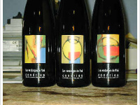Domaine Gangloff - Vendanges de Noé