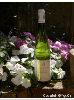 Domaine Kientzler - Vendanges Tardives