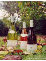 Domaine Henry Natter