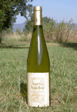 Domaine de la Vieille Forge - Vendanges Tardives