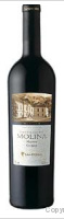 Castillo de Molina - Reserva Shiraz 