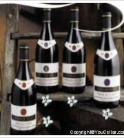 Domaine du Mont d'Or - Bon Sauveur Humagne
