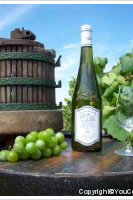 Domaine de la Noë